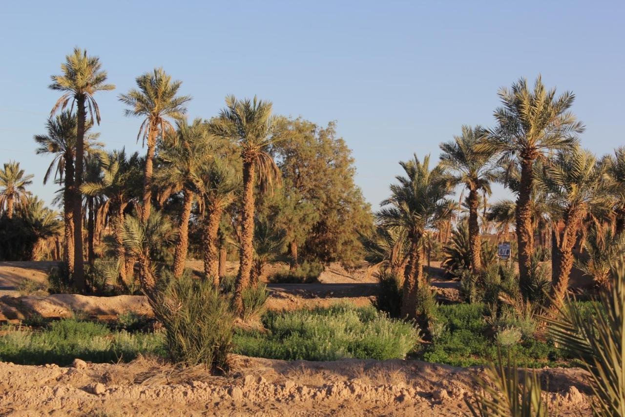 Palais Du Desert Hotel & Spa エルフード エクステリア 写真